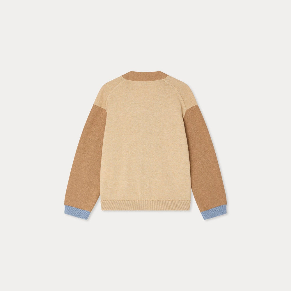 Brown and Blue V - Neck Cardigan - Beige Chine 160B - Posh New York