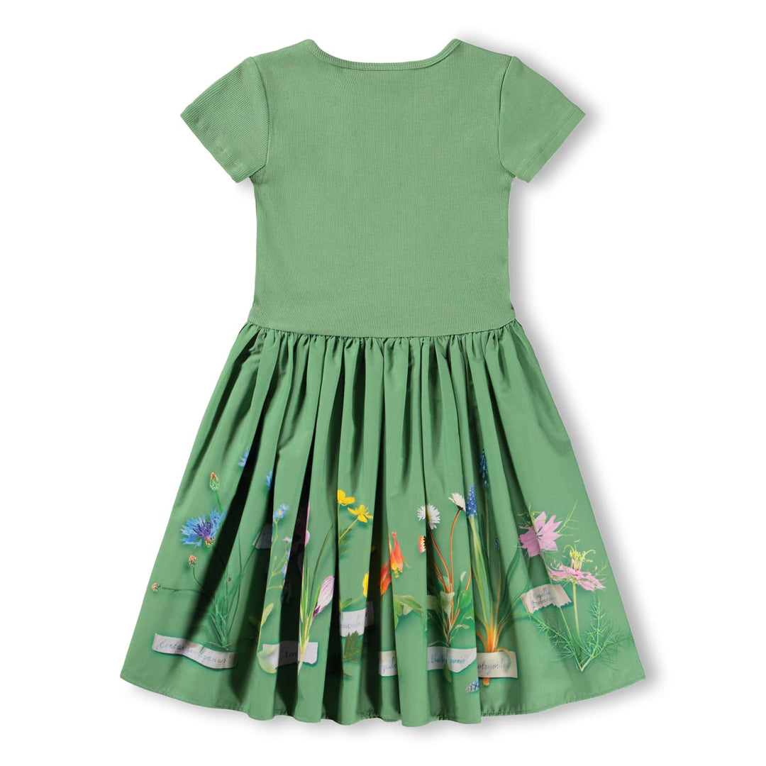 SS Floral Dress - Flora Collector - Posh New York