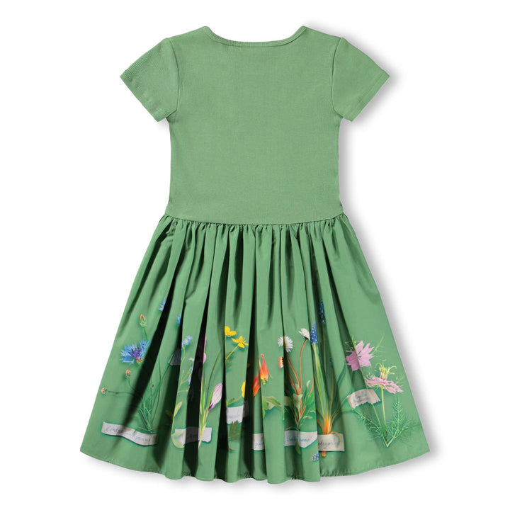 SS Floral Dress - Flora Collector - Posh New York